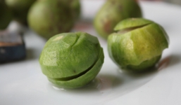 Những công dụng thần kỳ của quả sấu trong mùa hè